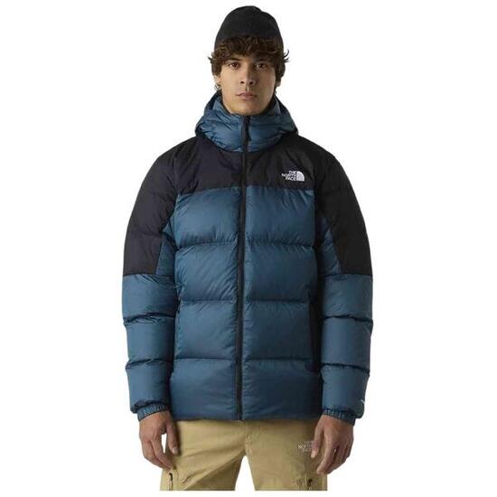 Manteau The north face modèle NF0A8992EIO1 pour homme