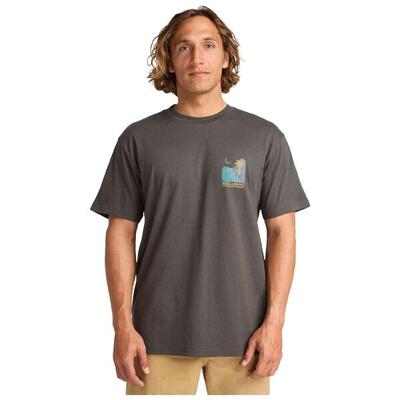 T-shirt met korte mouwen billabong model ebyzt00384-rav voor mannen