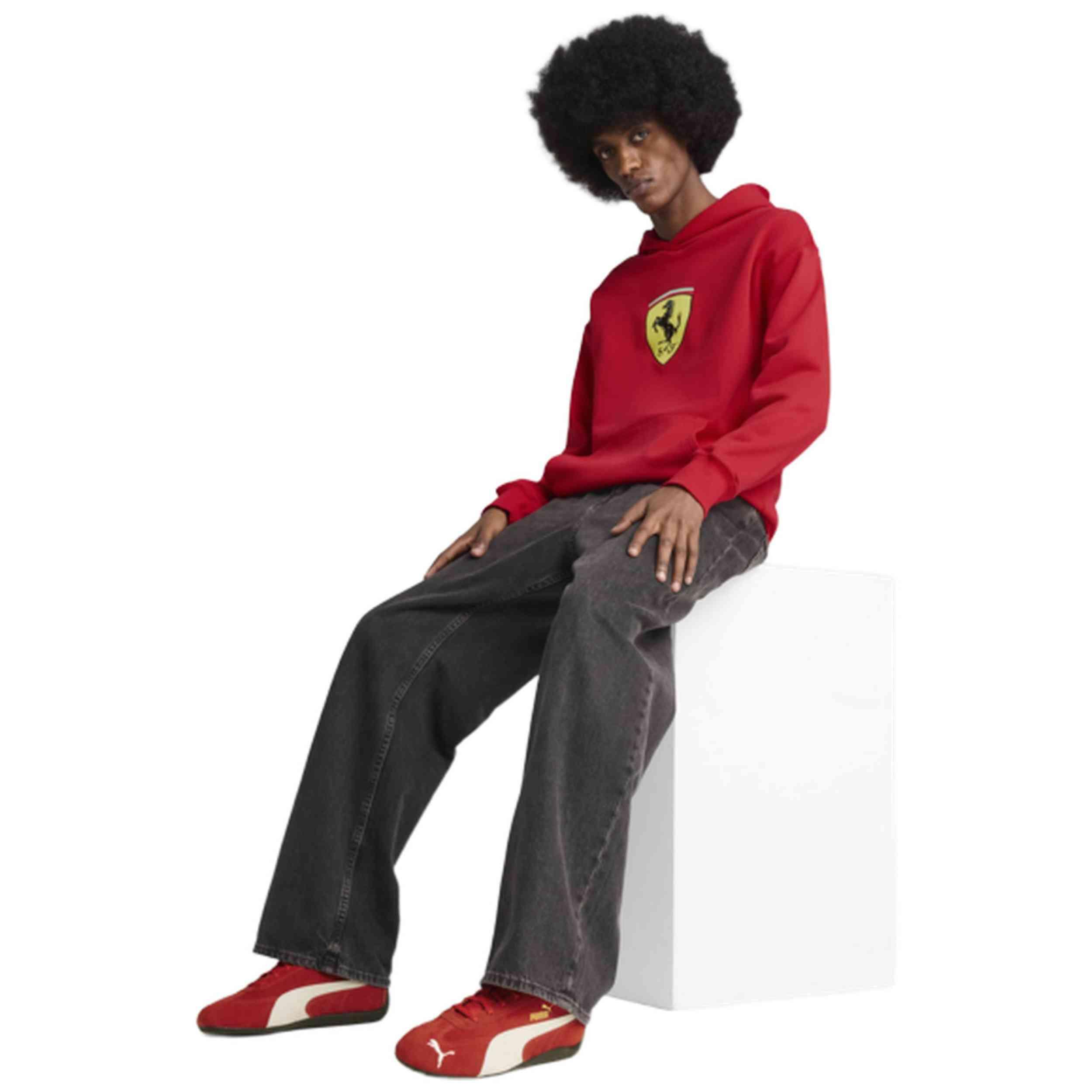Sweat à capuche Puma modèle 630192-02 pour homme 3/5