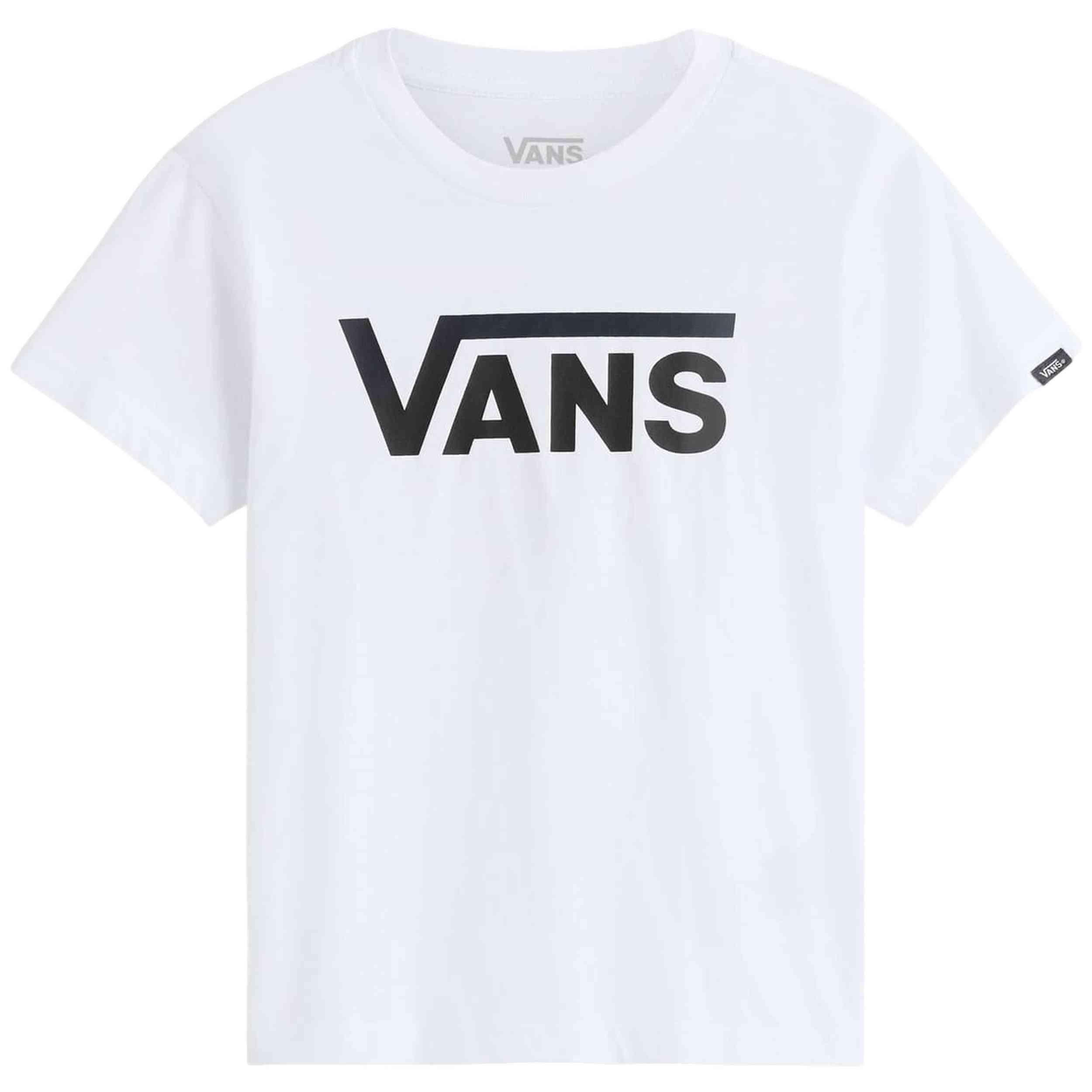 VANS picture