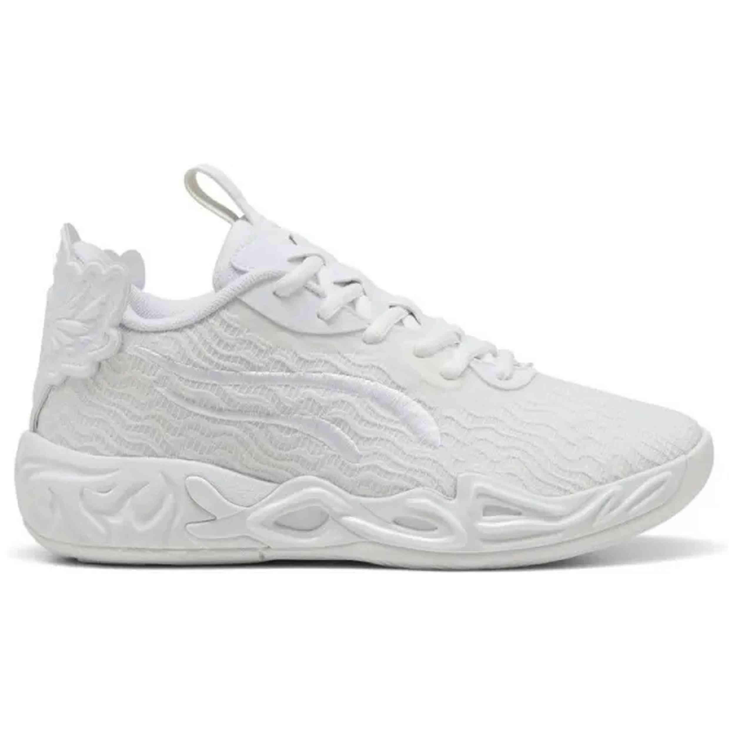 PUMA picture