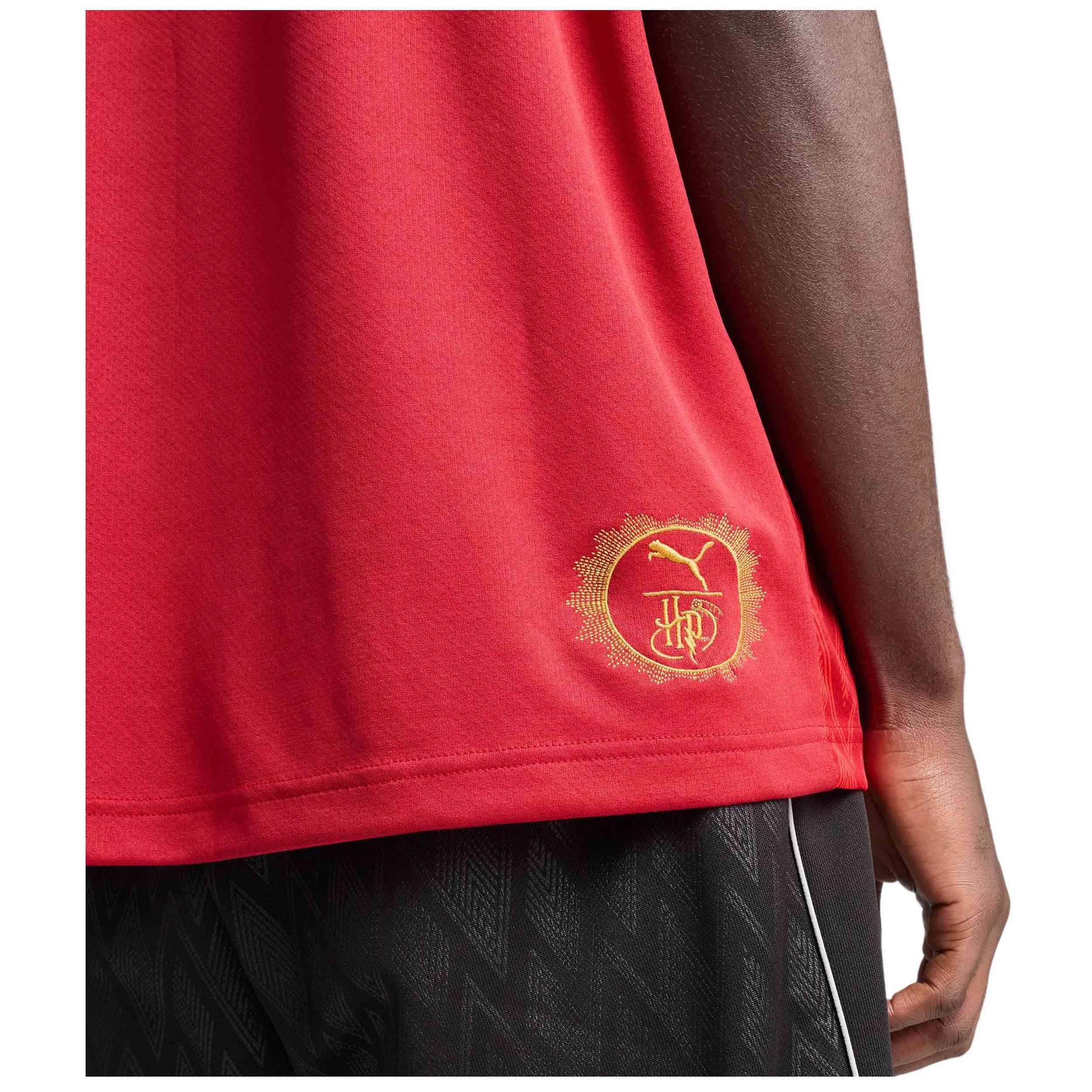 Voetbalshirt Puma model 072-8598 voor mannen 2/5