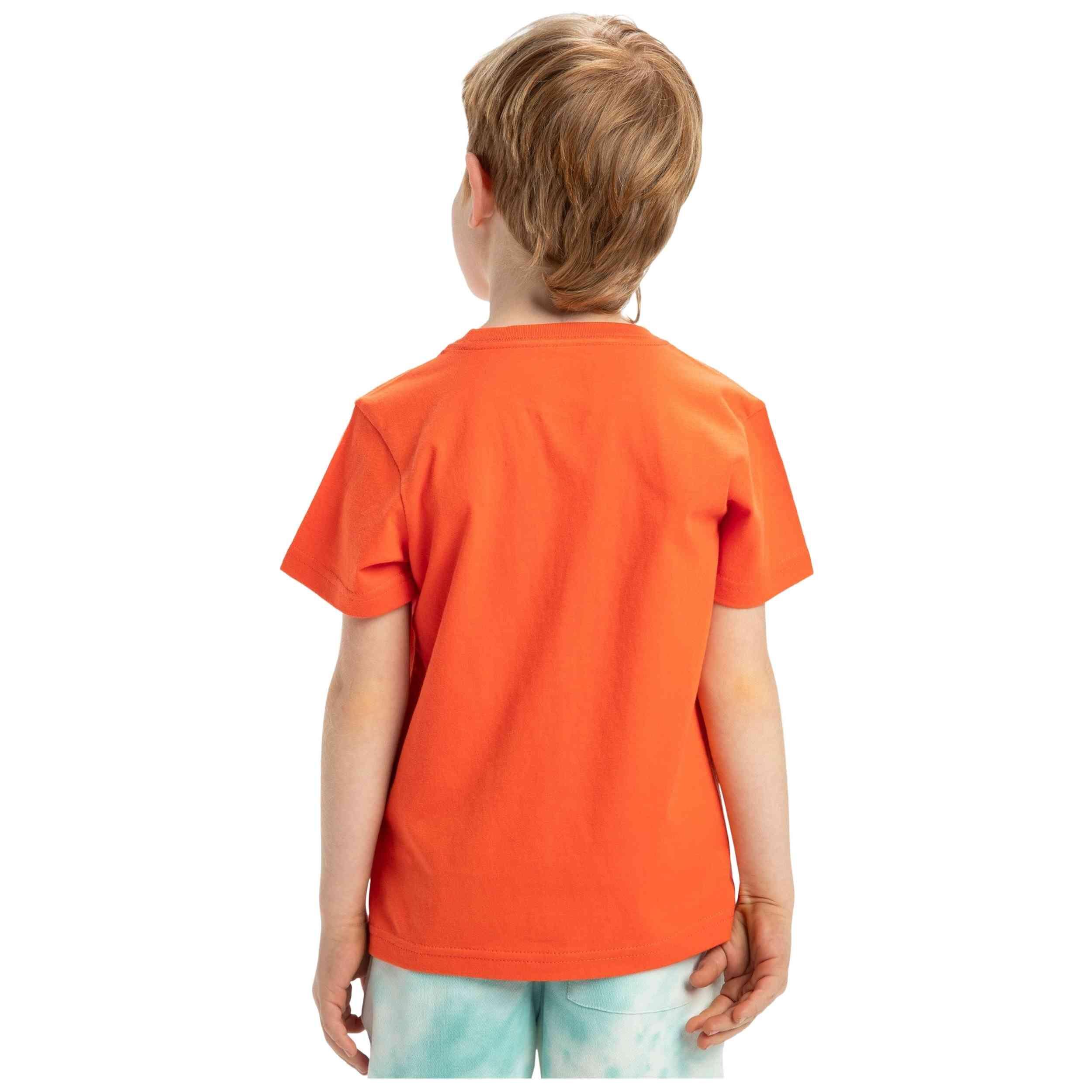 T-shirt Quiksilver modèle 077-50522619937107 pour enfants 3/5