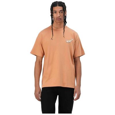 T-shirt met korte mouwen converse model 10027737-a03 voor mannen