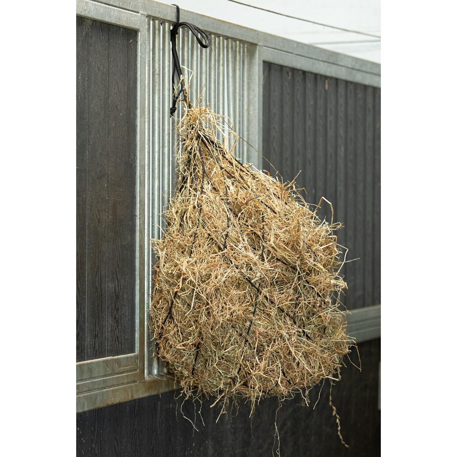 HARRYS HORSE picture