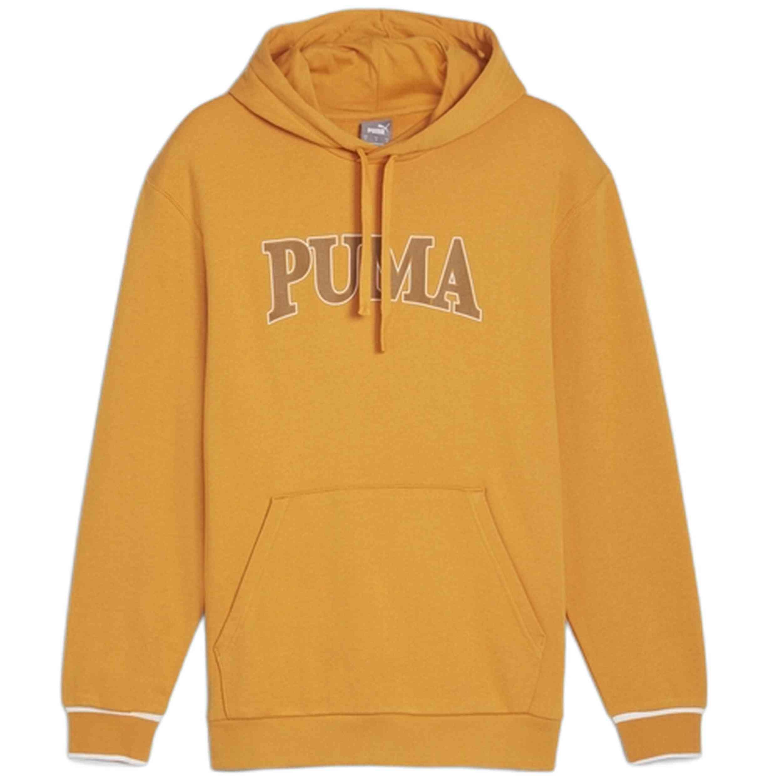 PUMA picture