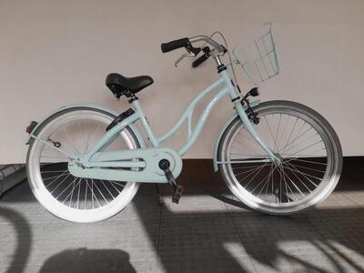 22 inch alpina ocean met terugtraprem en een mandje.