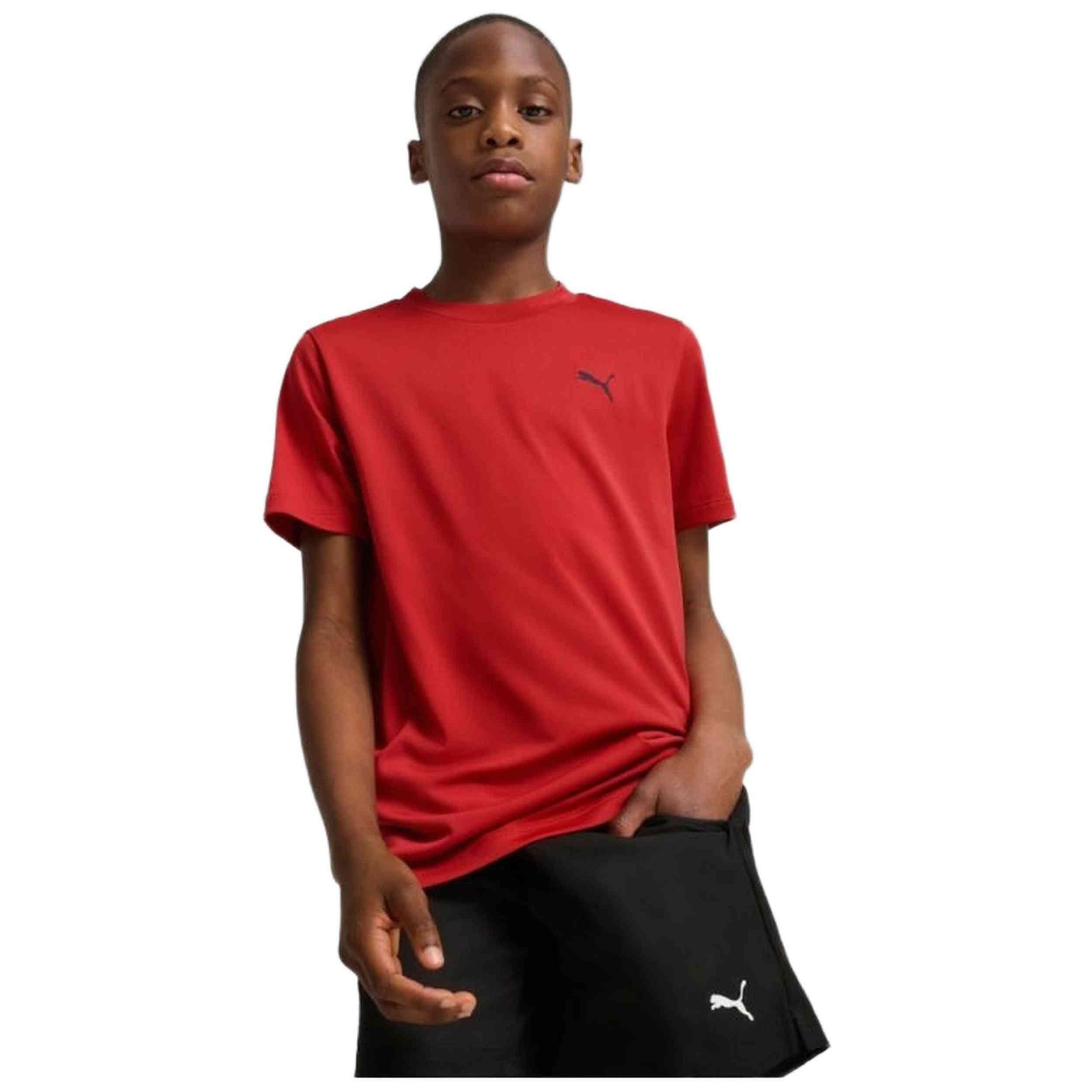 PUMA picture