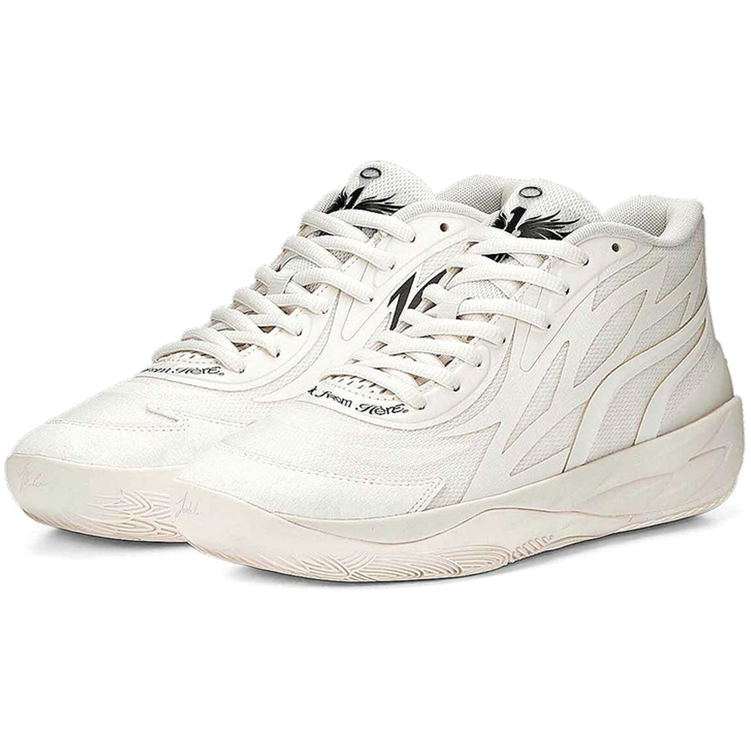 PUMA picture