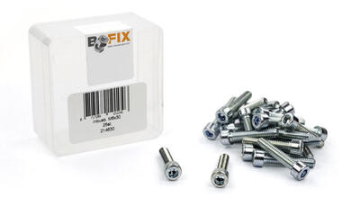 Bofix Vite M6x30 Inbus Acciaio per Xtrabike