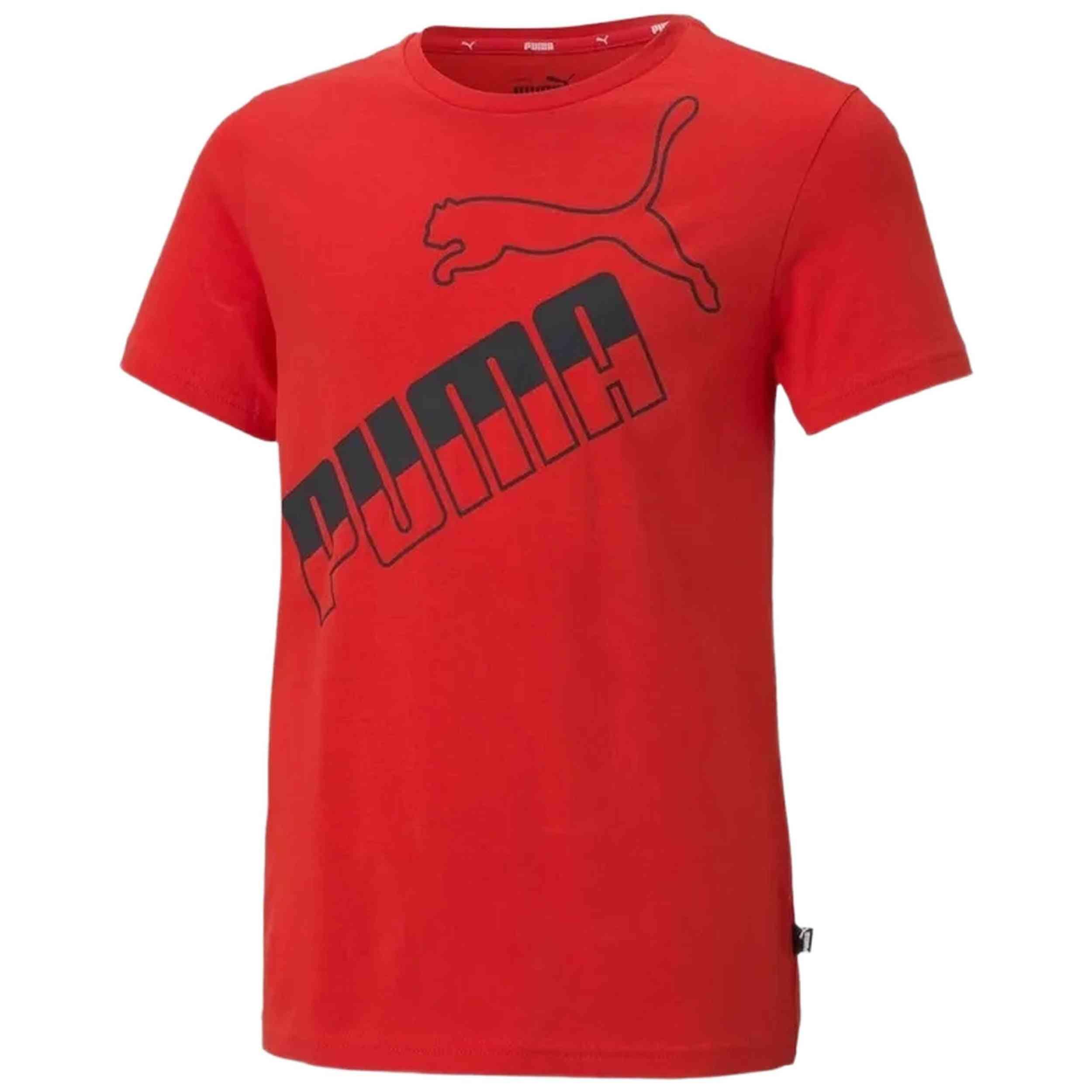 PUMA picture