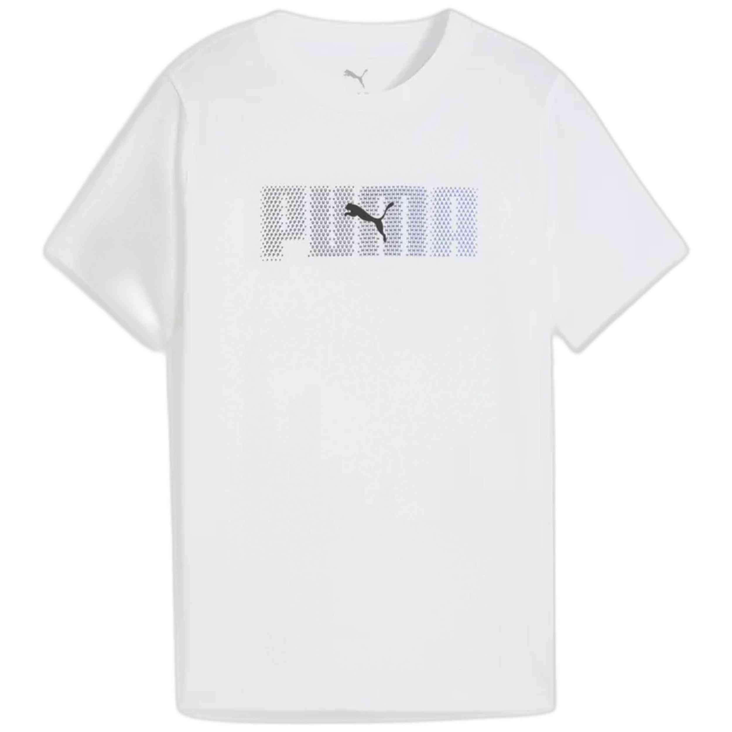 PUMA picture