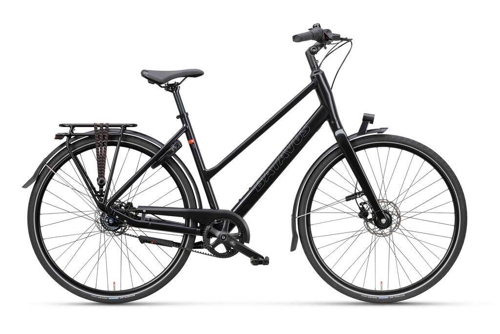 BATAVUS picture