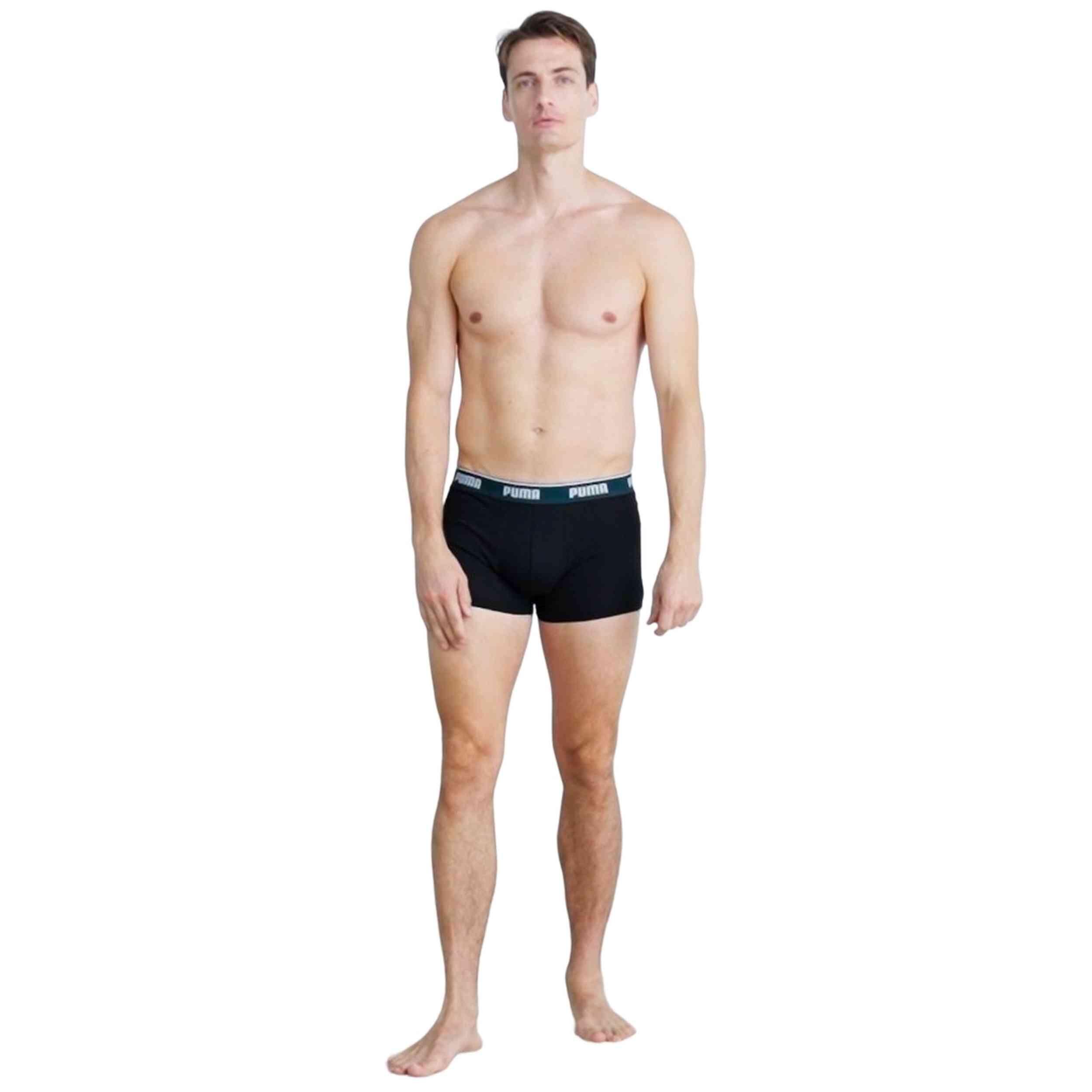 Briefs pack Puma model 701234187007 for 2/5