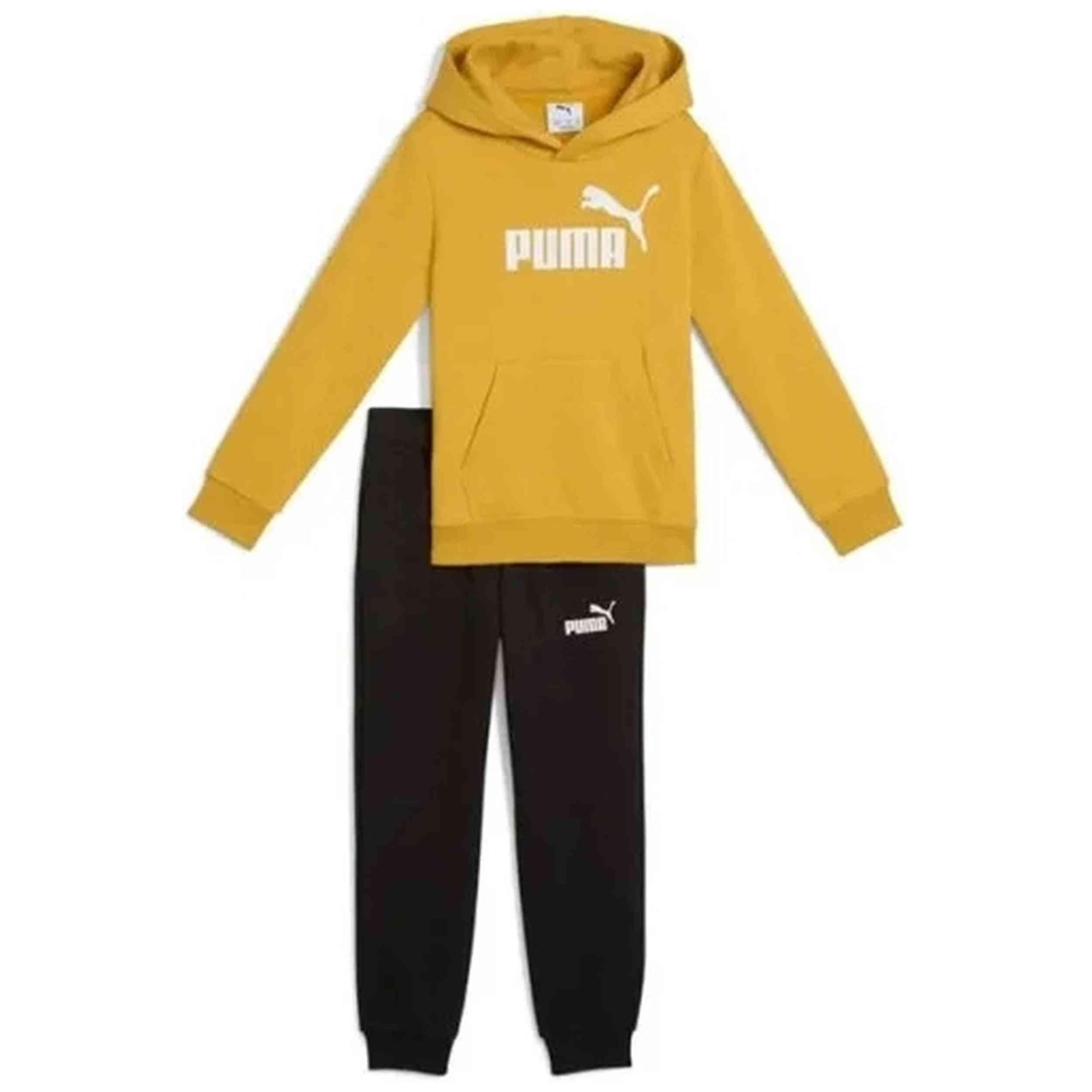 PUMA picture