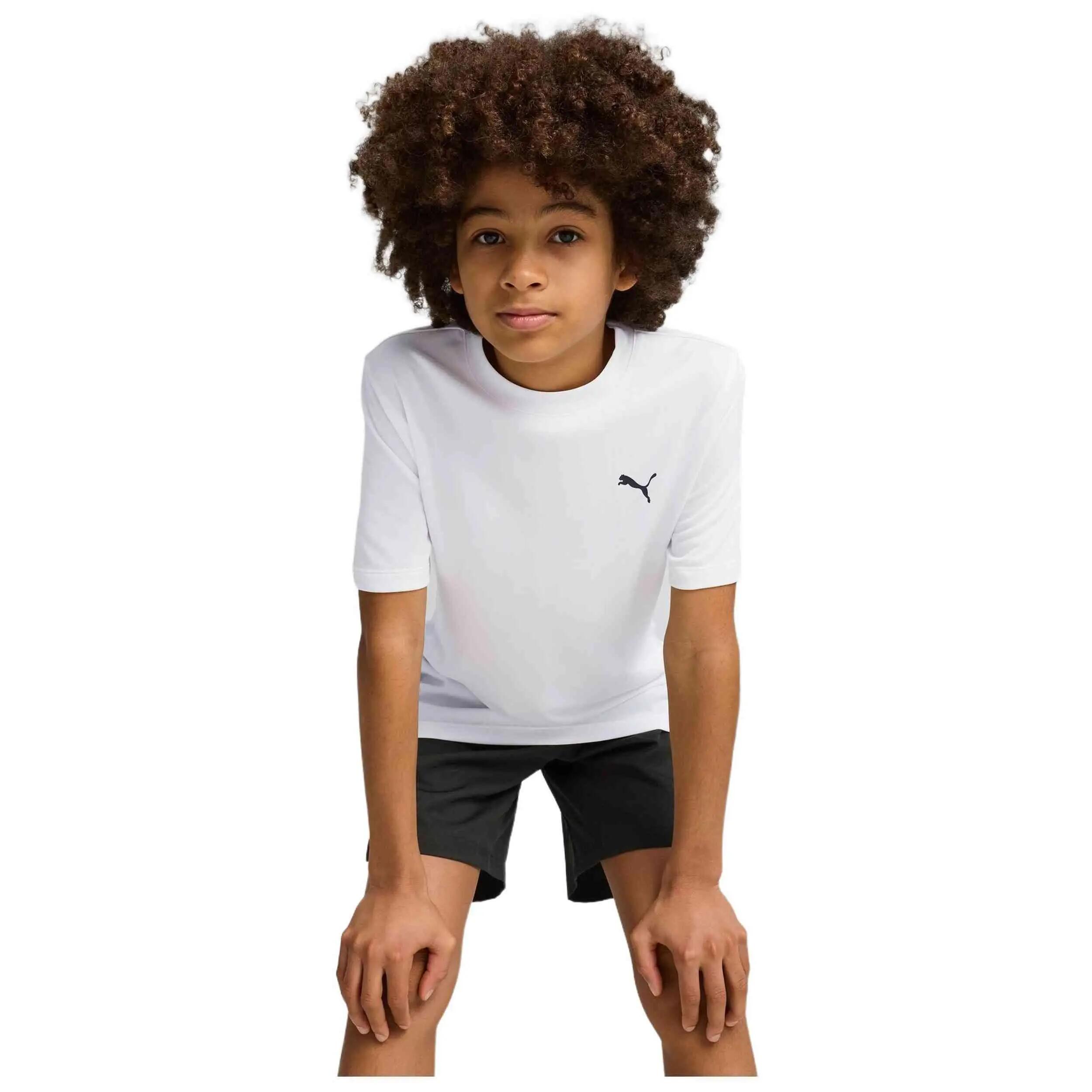 PUMA picture