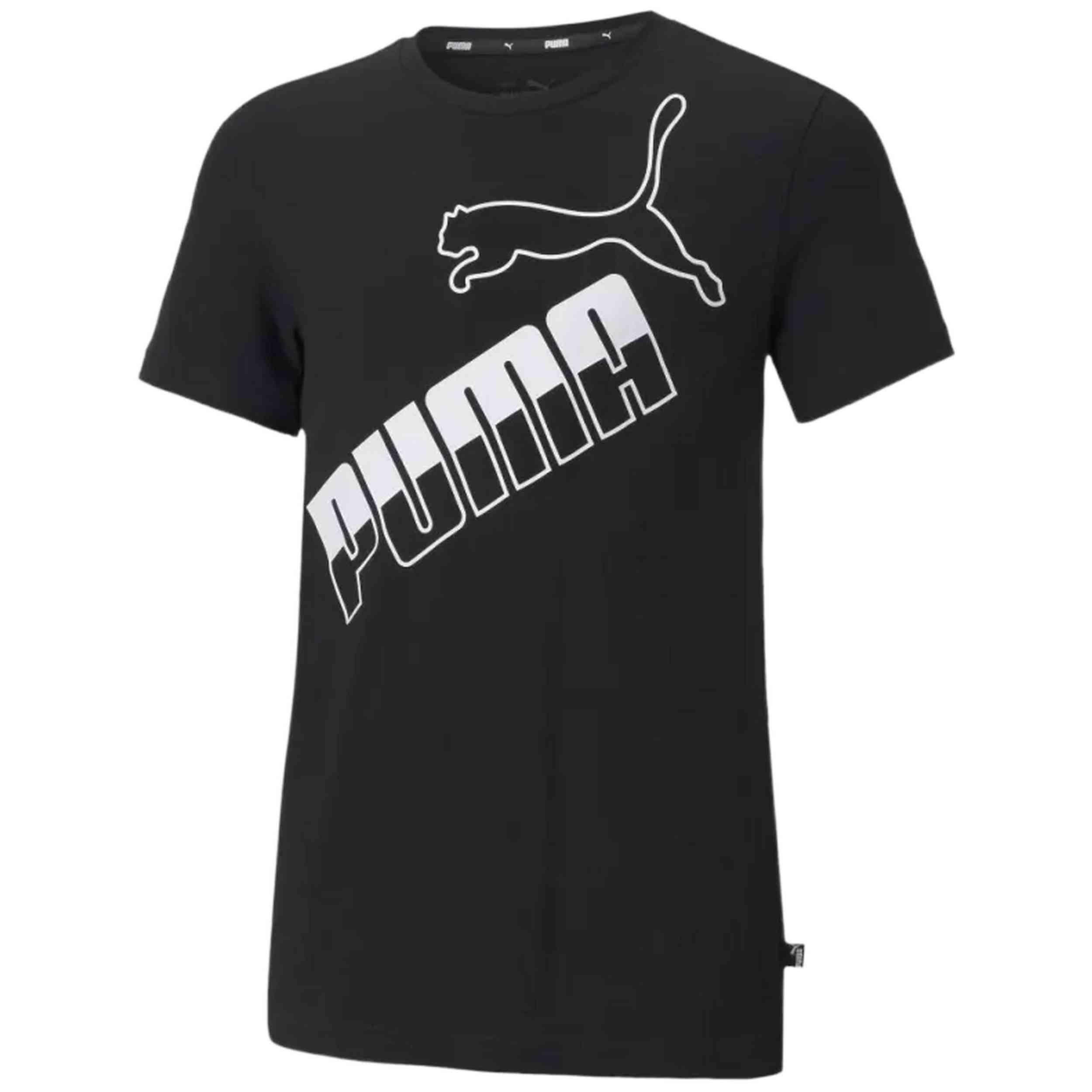 PUMA picture