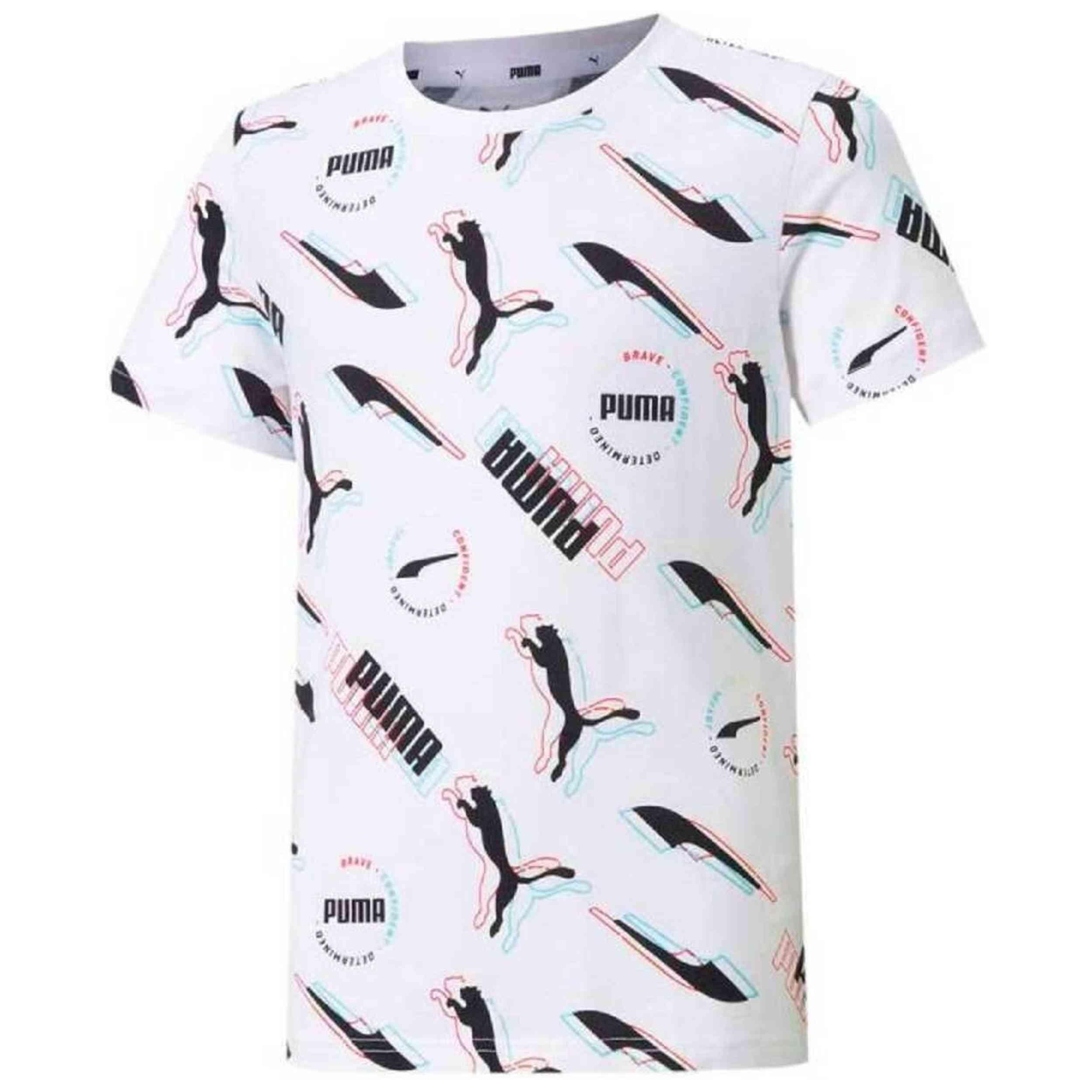 PUMA picture