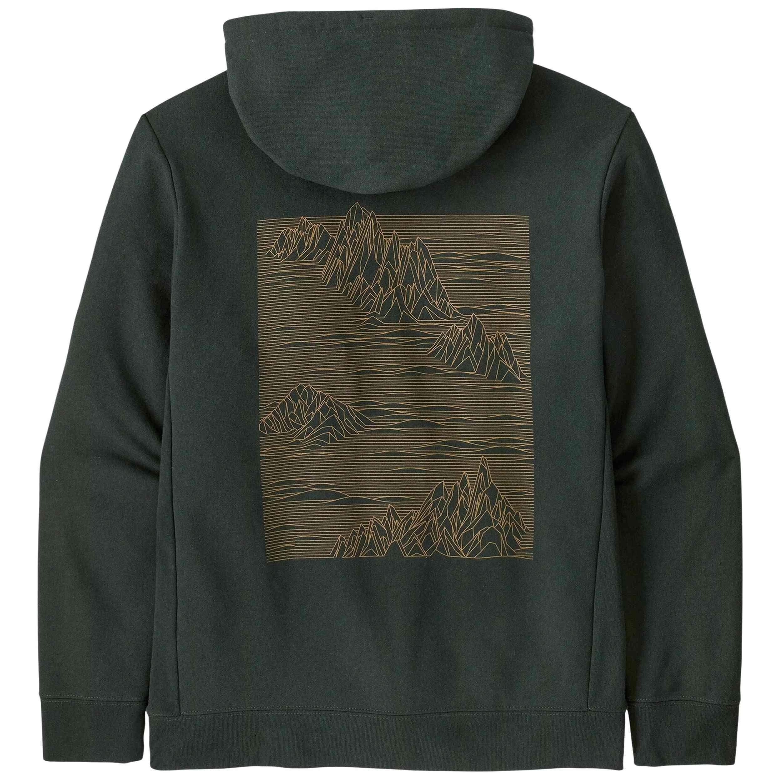 Sweat à capuche Patagonia modèle 39699-OLGG pour homme 2/2