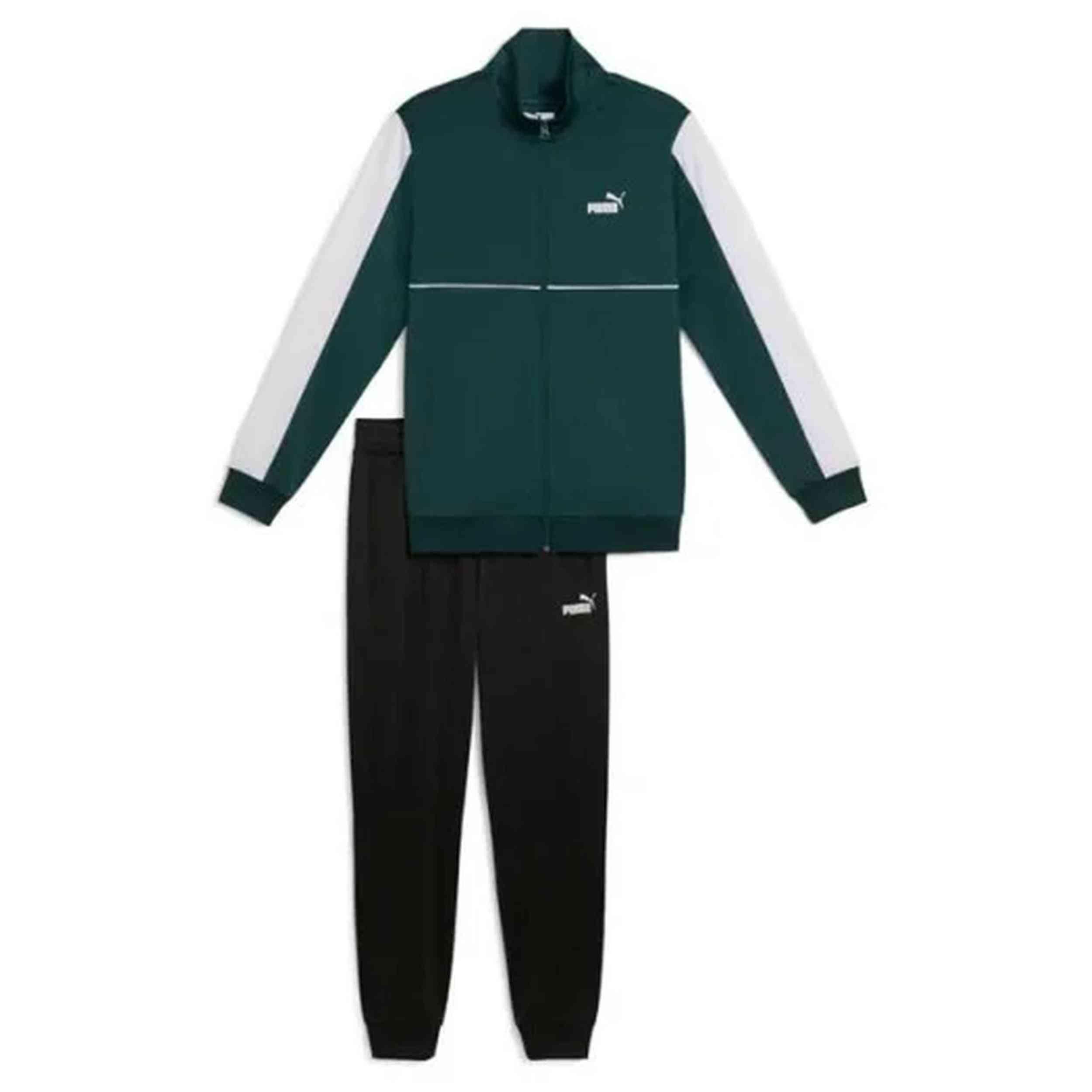 PUMA picture