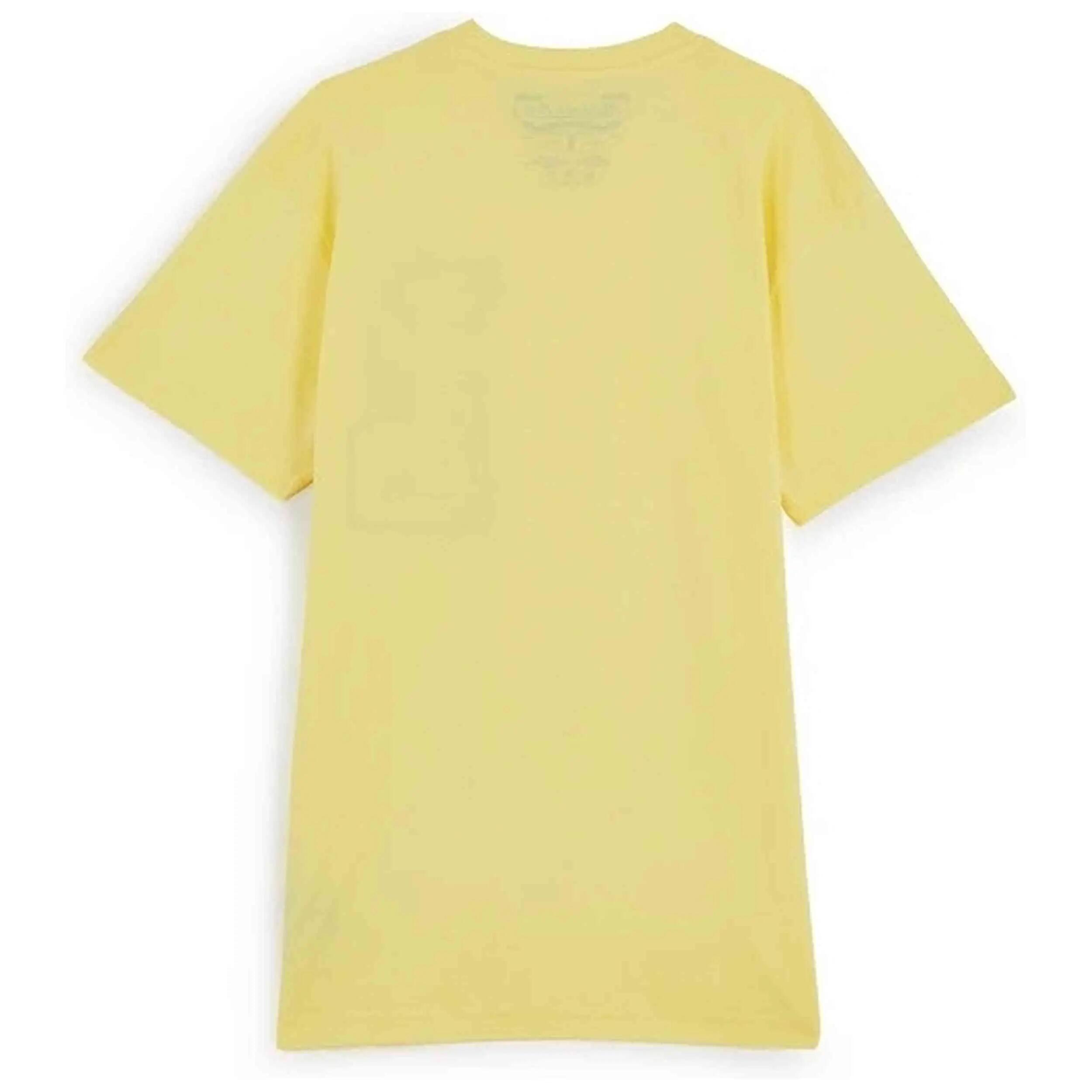 T-shirt Mitchell & ness modèle BMTRINTL1102-LALYEL pour homme 2/2