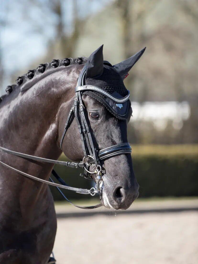 Lemieux Loire Oornetje Benneton - 3/7