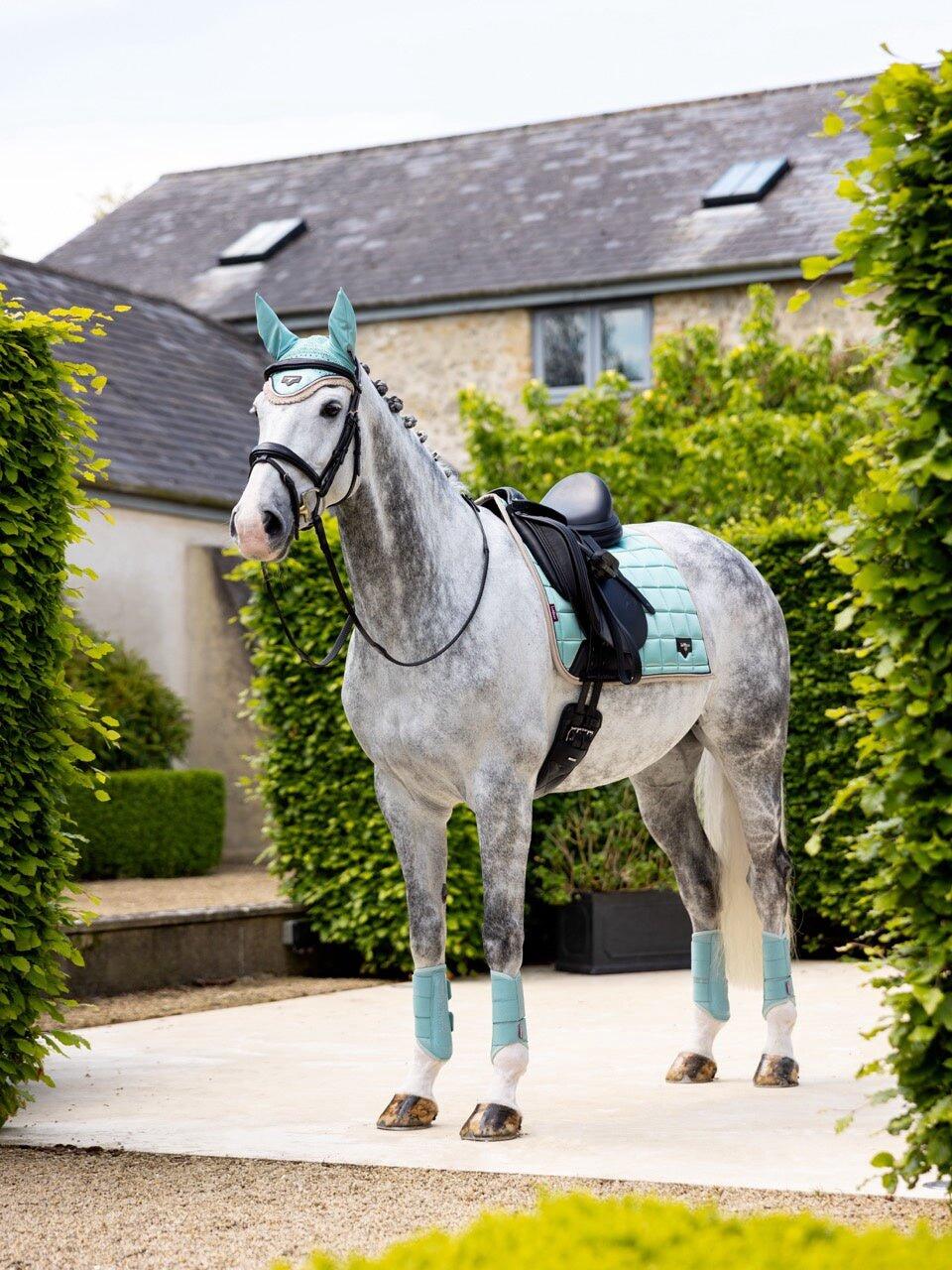 Tapis de dressage pour cheval LeMieux Loire Classic 3/7