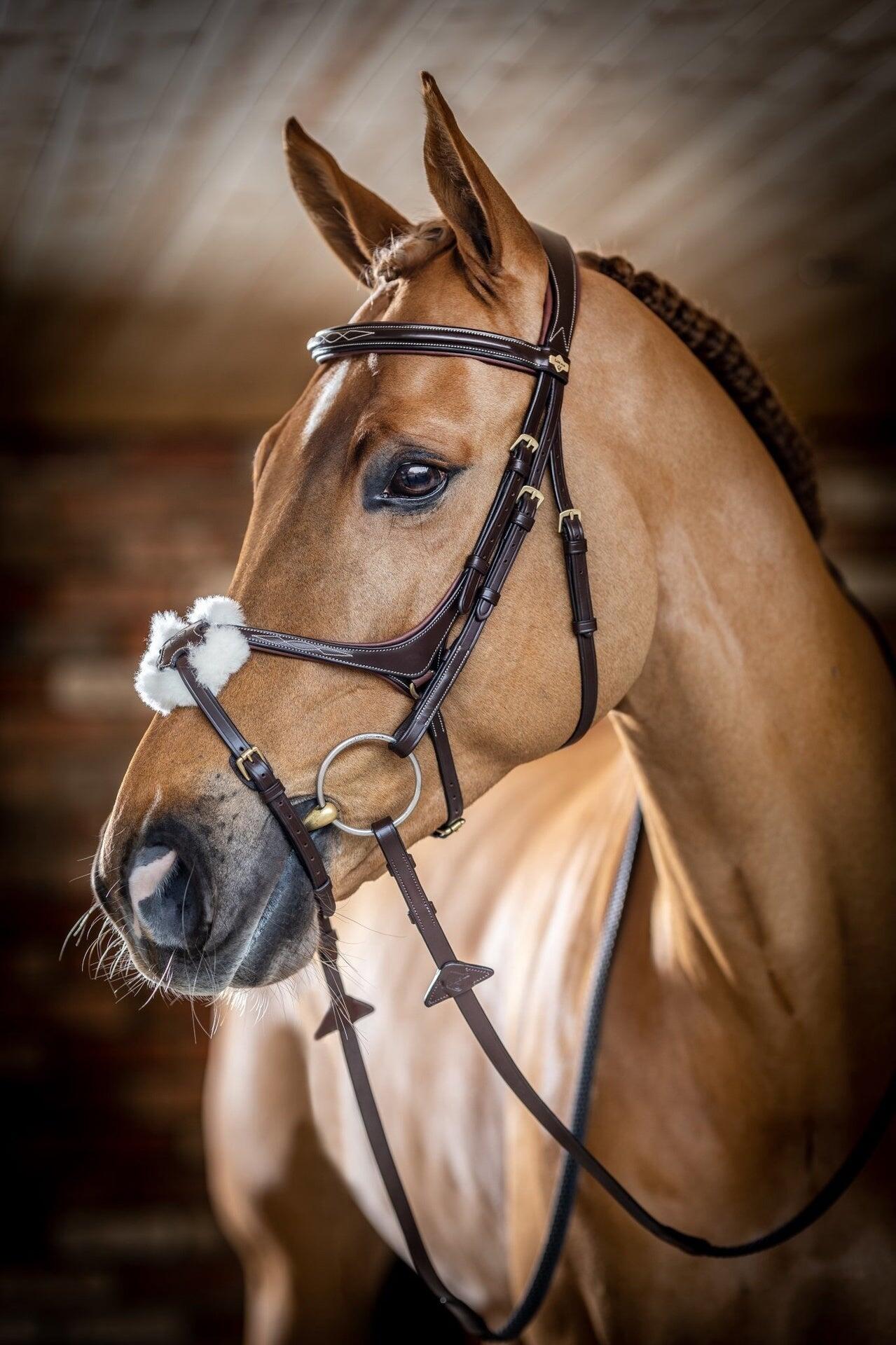 Snaffle hoofdstel voor paarden LeMieux Grackle Havana 5/7