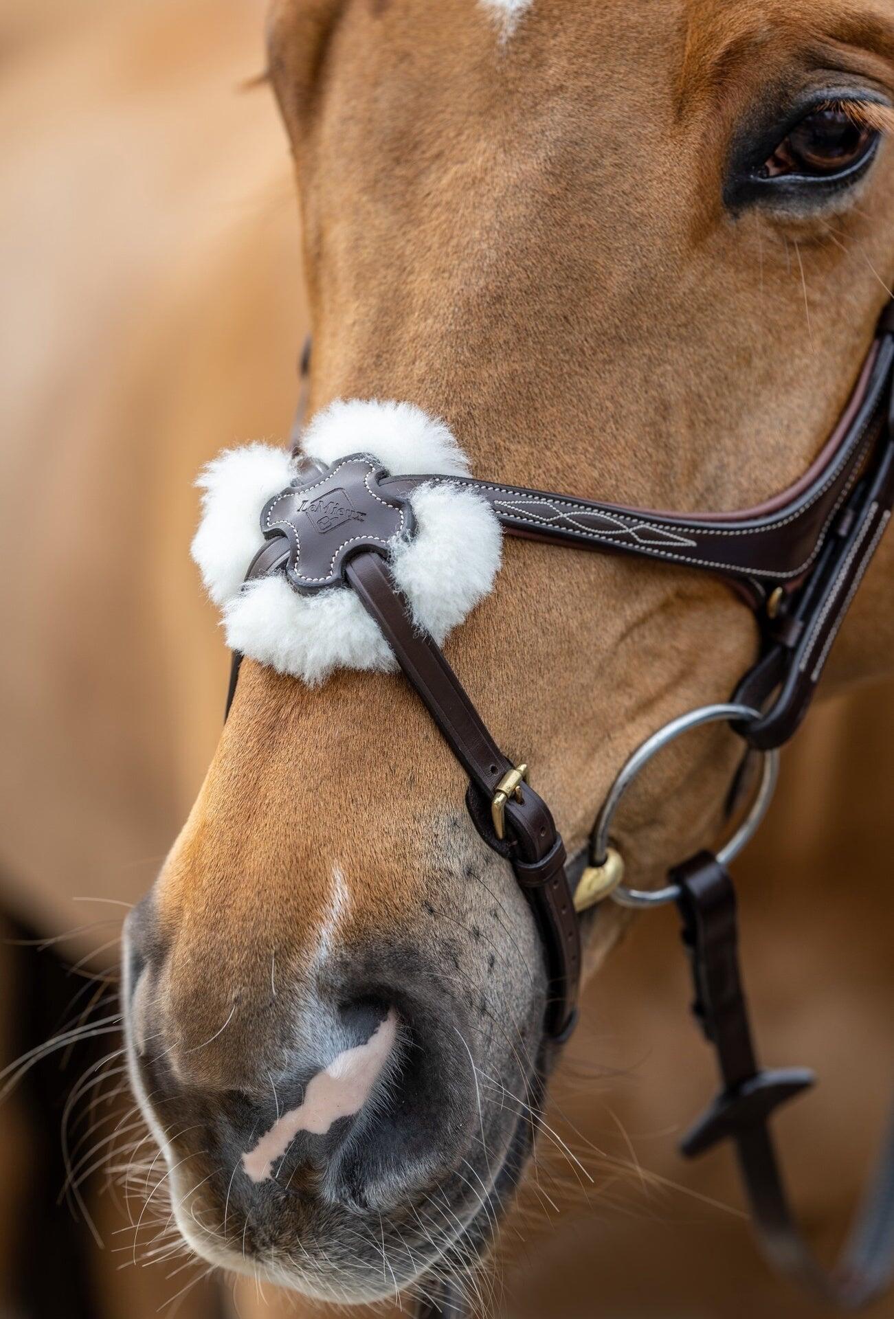 Snaffle hoofdstel voor paarden LeMieux Grackle Havana 7/7