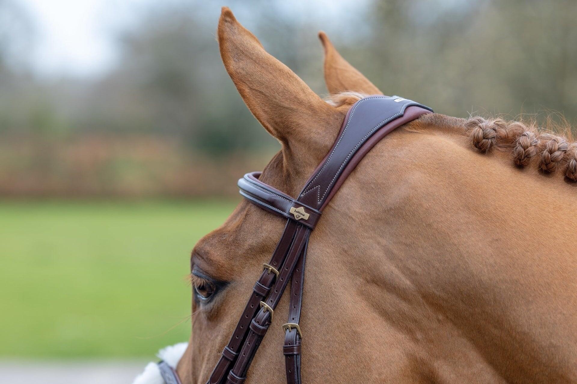 Snaffle hoofdstel voor paarden LeMieux Grackle Havana 6/7