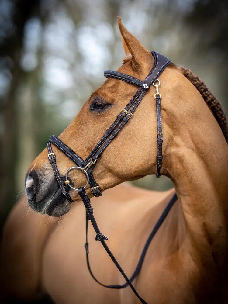 Hoofdstel voor paarden LeMieux Work 5/7