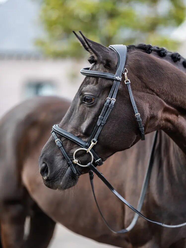 Hoofdstel voor paarden LeMieux Work 6/7