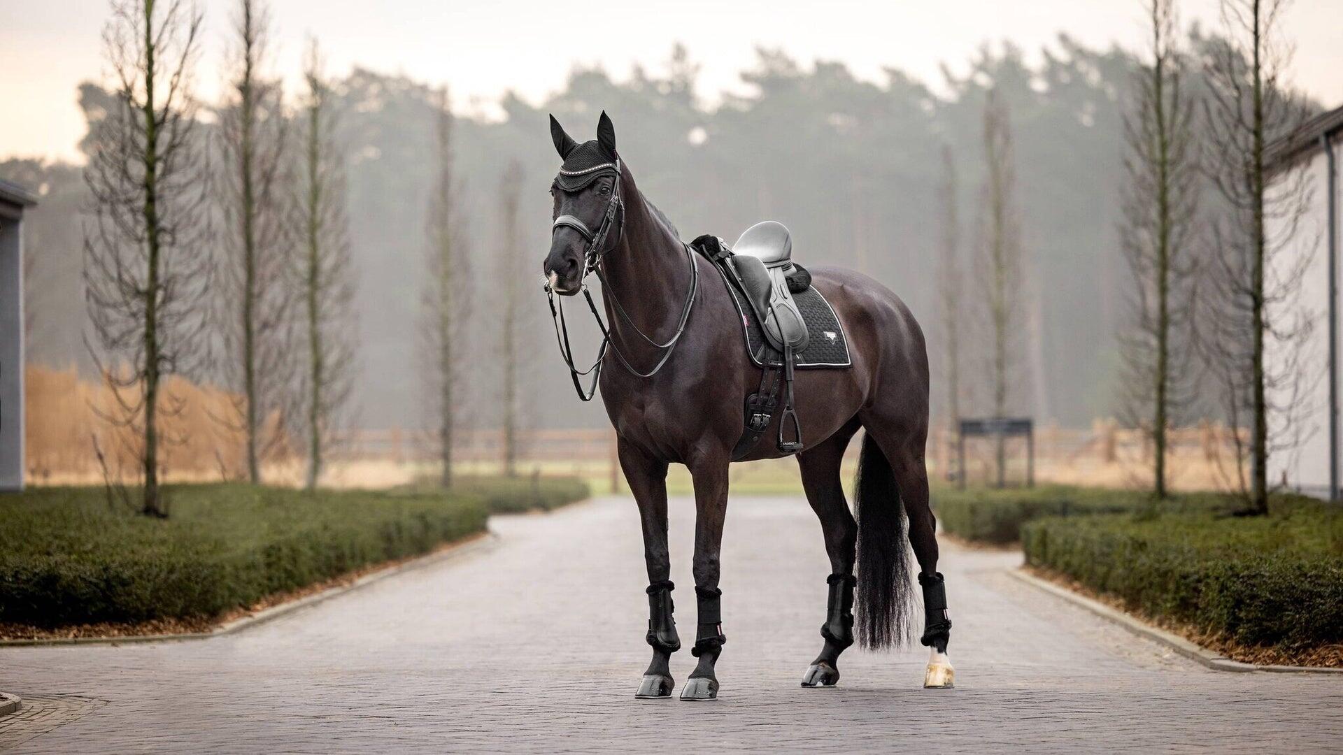 Tapis de dressage pour cheval LeMieux Puissance Suede 7/7
