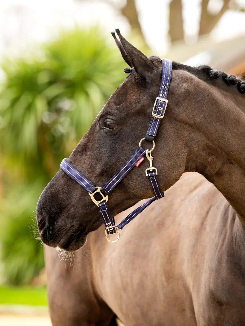 Leren halster voor paarden LeMieux Essential Yard 5/7