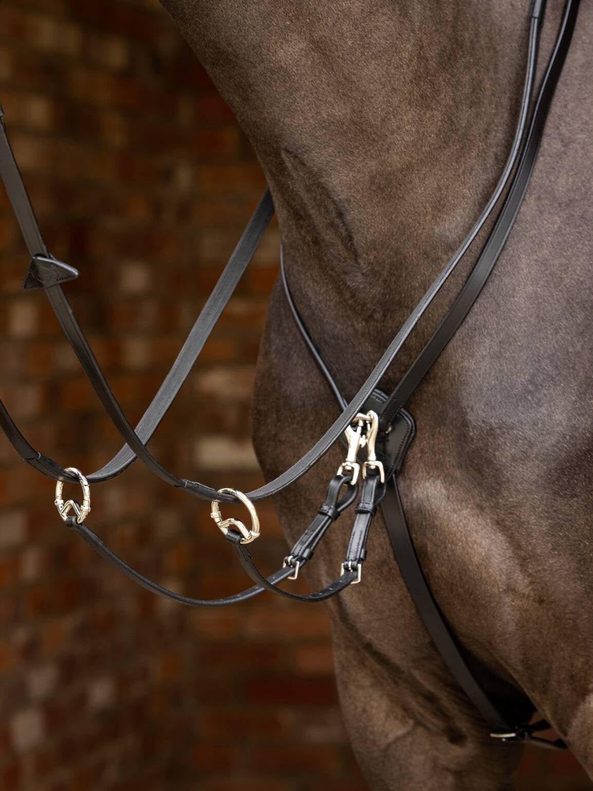 Martingale de course pour chevall LeMieux Kudos 6/6