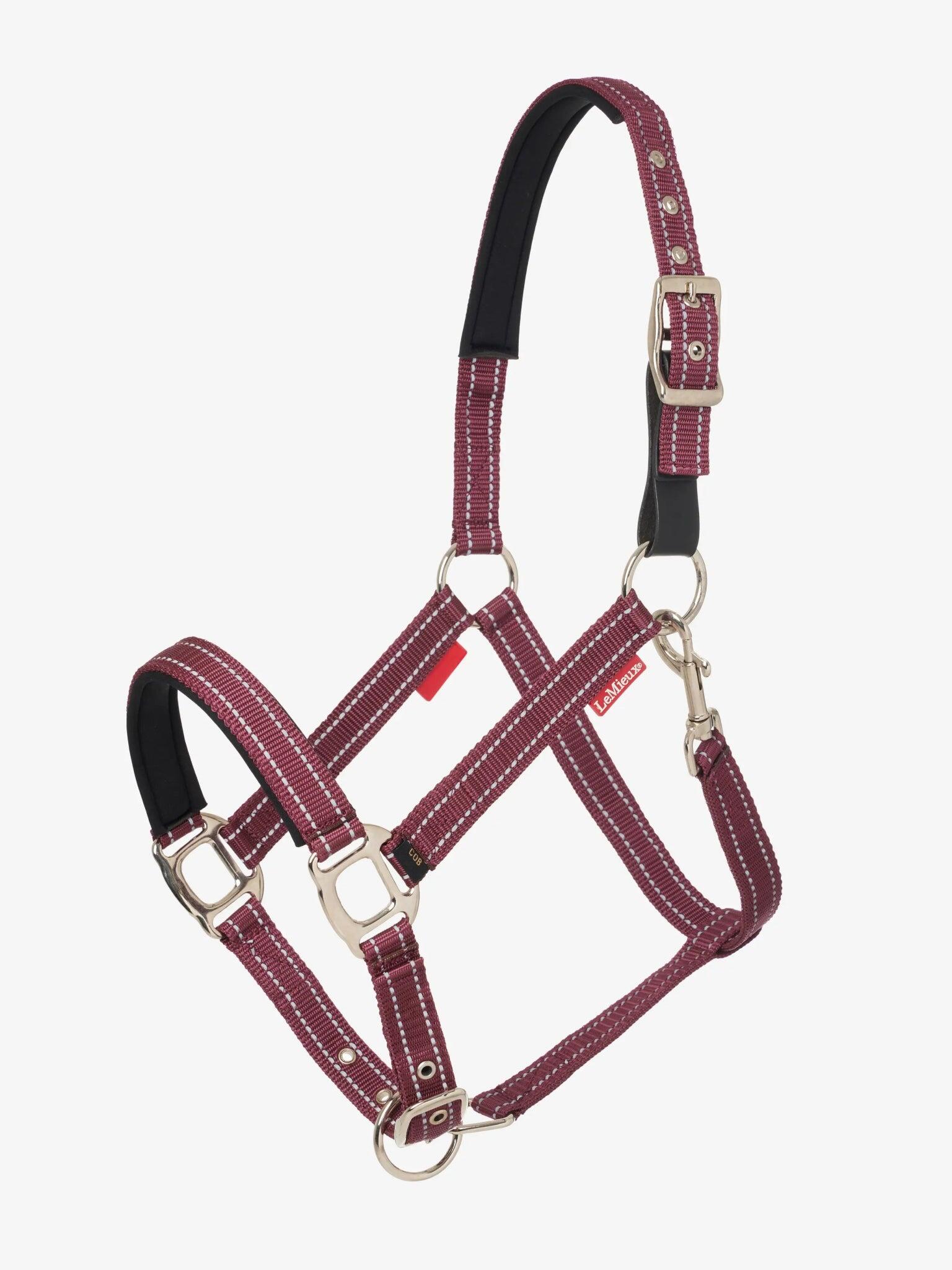 Leren halster voor paarden LeMieux Essential Yard 3/7