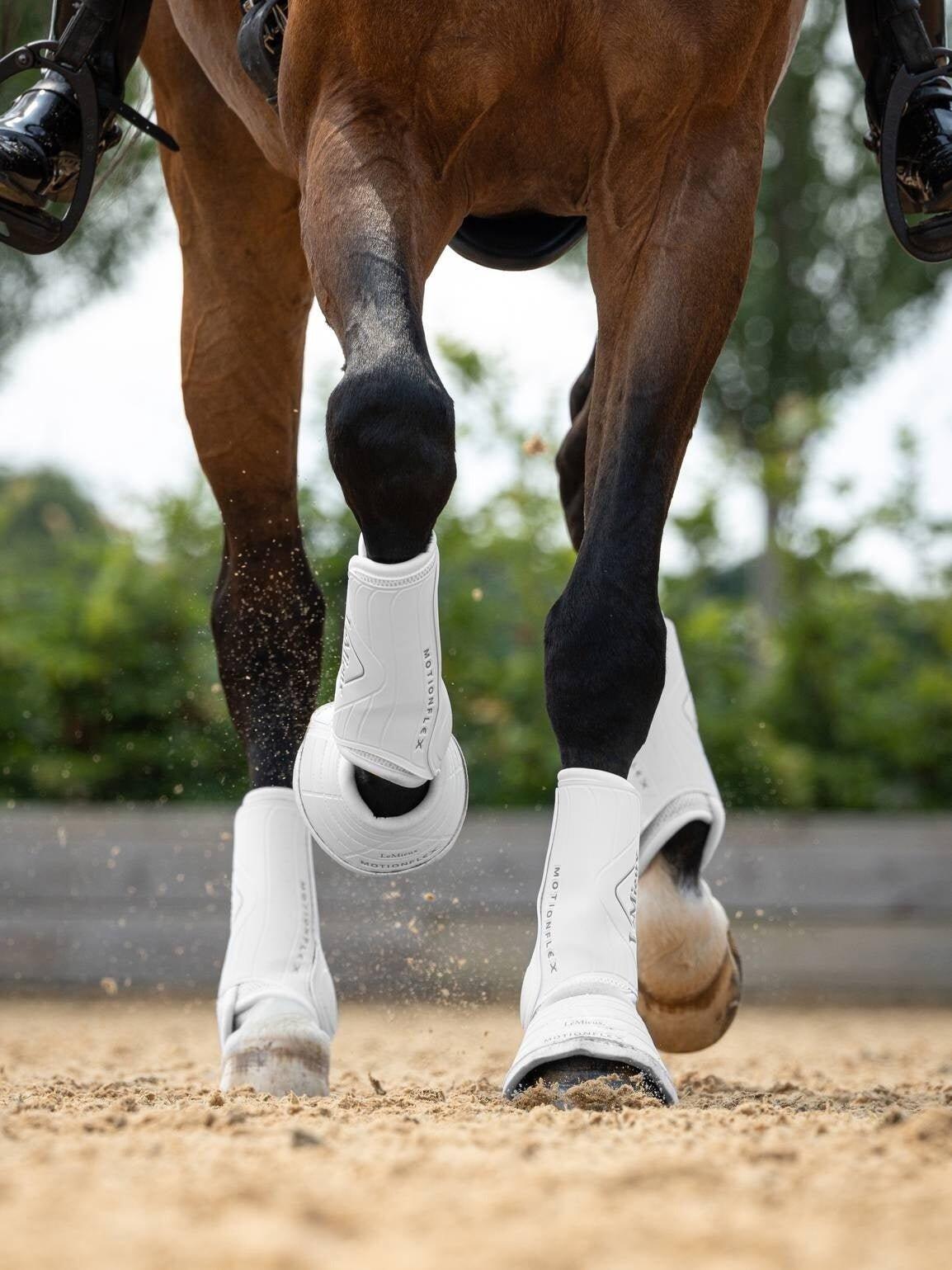 Guêtres de dressage pour cheval LeMieux Motionflex 6/7