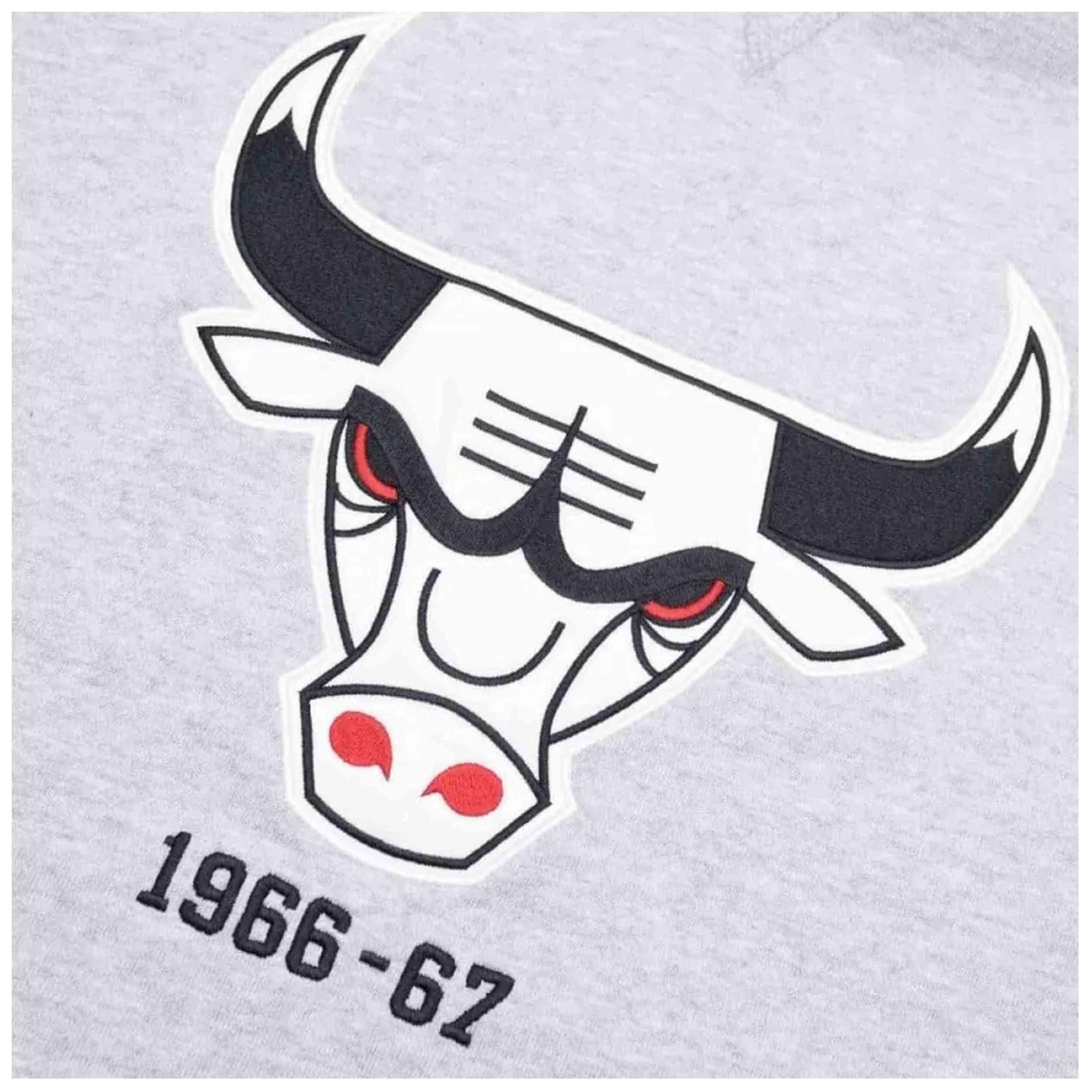 Sweat à capuche Mitchell & ness modèle FPHD1040-CBUYYPPPGYHT pour unisexe 2/3