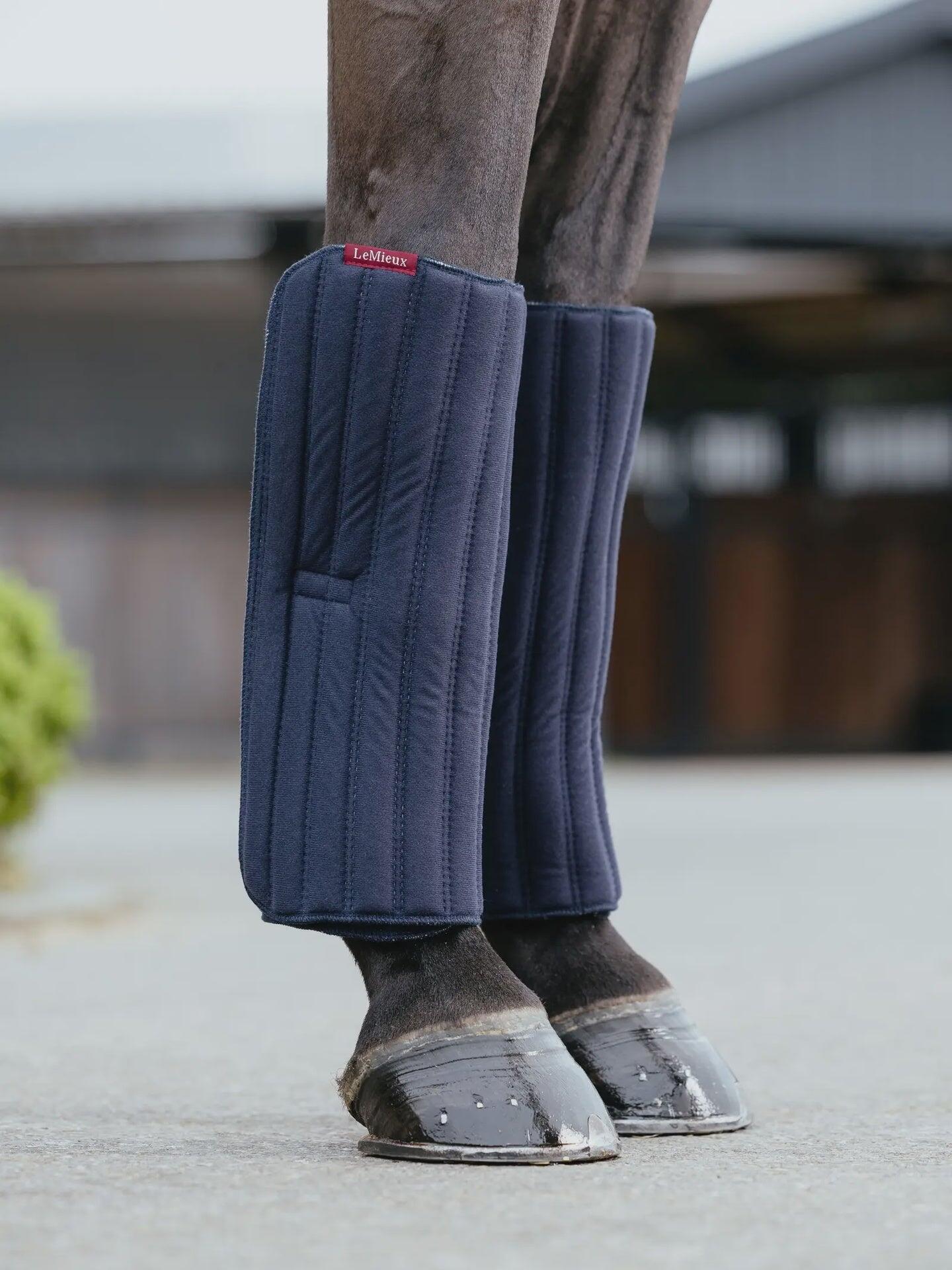 Sous-bandages cheval LeMieux Memory Foam 4/7
