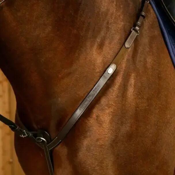 Hunting collar for horse Dy'on
