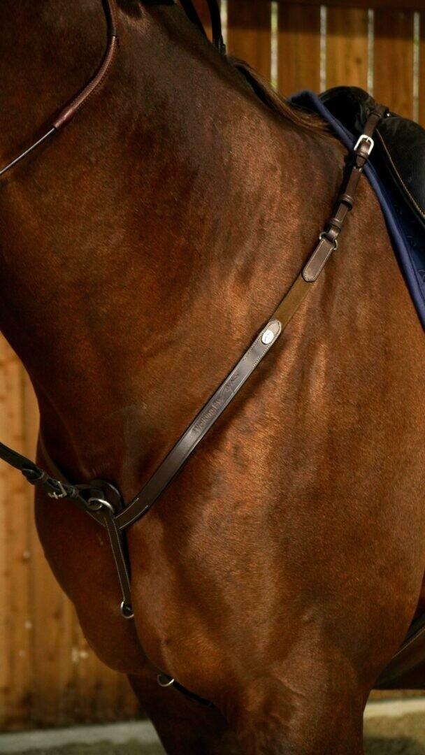 Dyon Breastplate Working Collection Bruin -