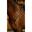 Dy'on Breastplate Working Collection Bruin -