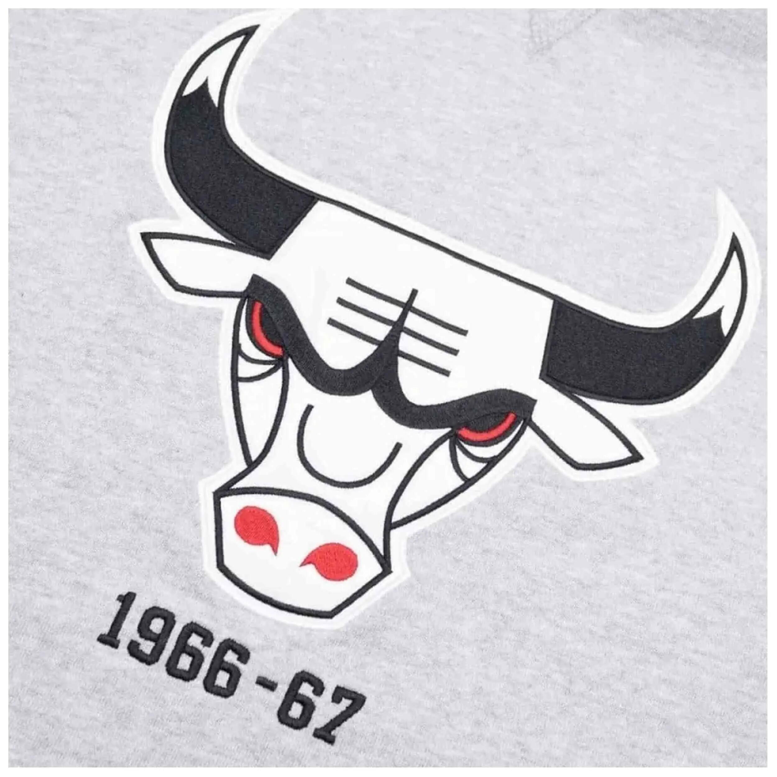 Hoodie Mitchell & ness model FPHD1040-CBUYYPPPGYHT voor unisex 2/3