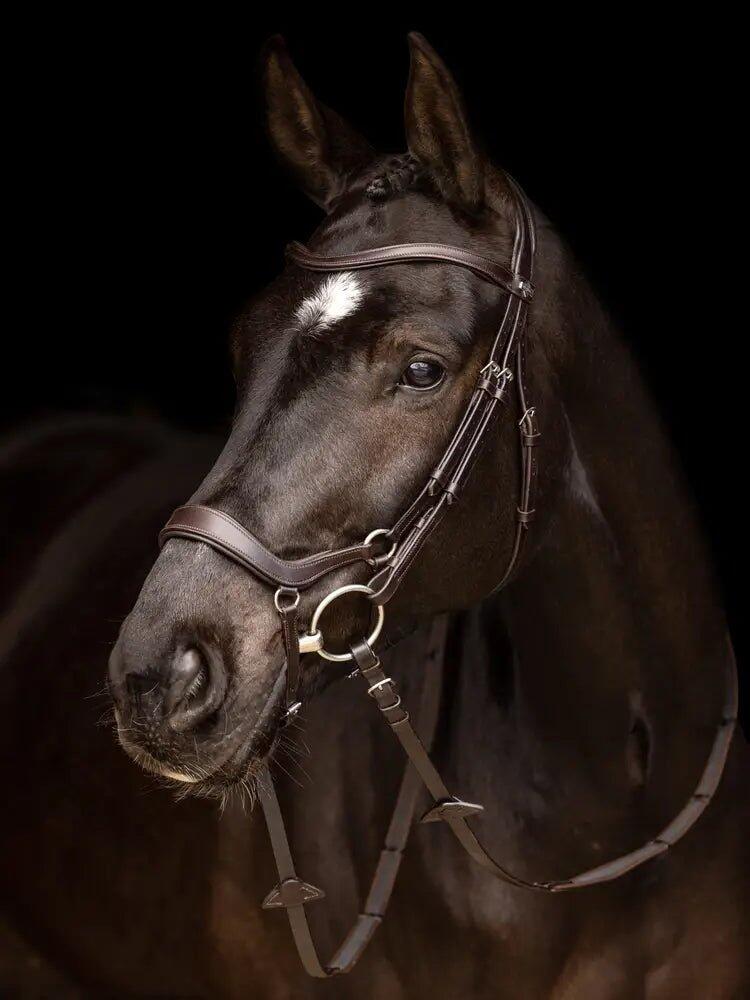 Bridon équitation pour cheval LeMieux Arika Drop 5/7