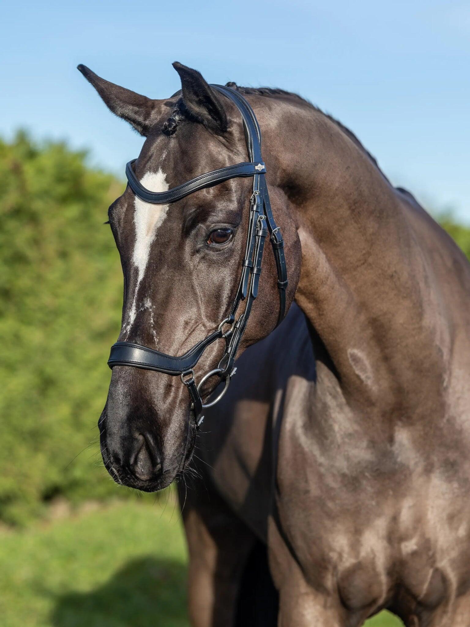 Bridon équitation pour cheval LeMieux Arika Drop 6/7
