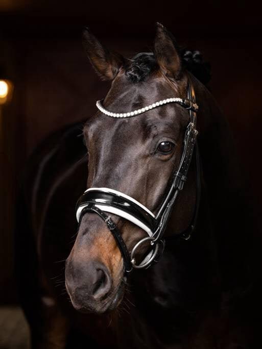 Frontal pour cheval LeMieux Ice Crystal 4/6
