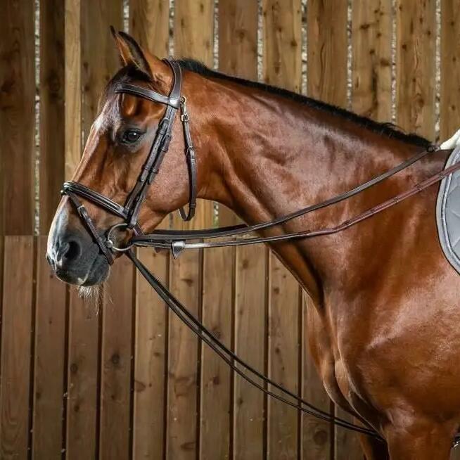 Leather horse reins Dy'on Working