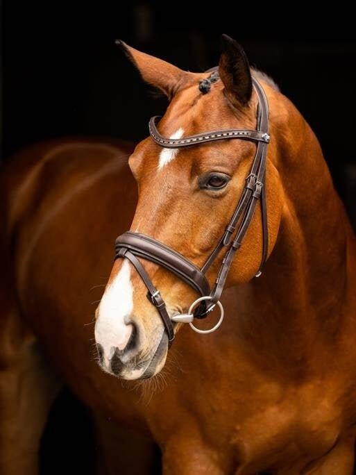 Lemieux Arika Dressage Hoofdstel Bruin - 3/7