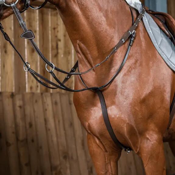 Martingale with rings Dy'on