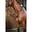 Dy'on Running Martingale - Working Collection Zwart -